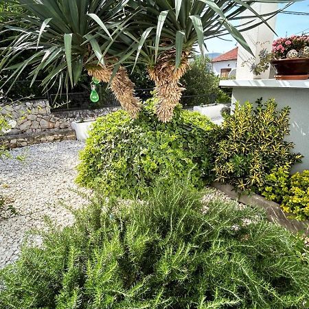 Apartmani Grgic تروغير المظهر الخارجي الصورة