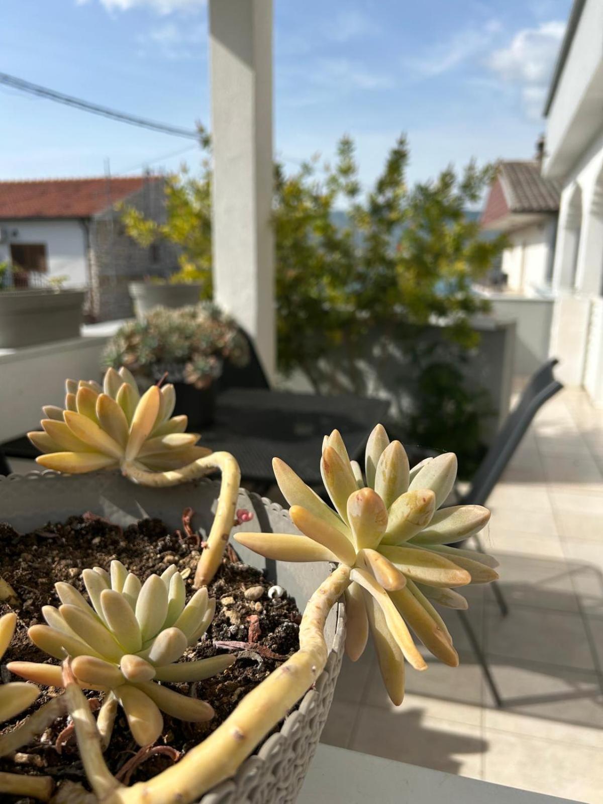 Apartmani Grgic تروغير المظهر الخارجي الصورة